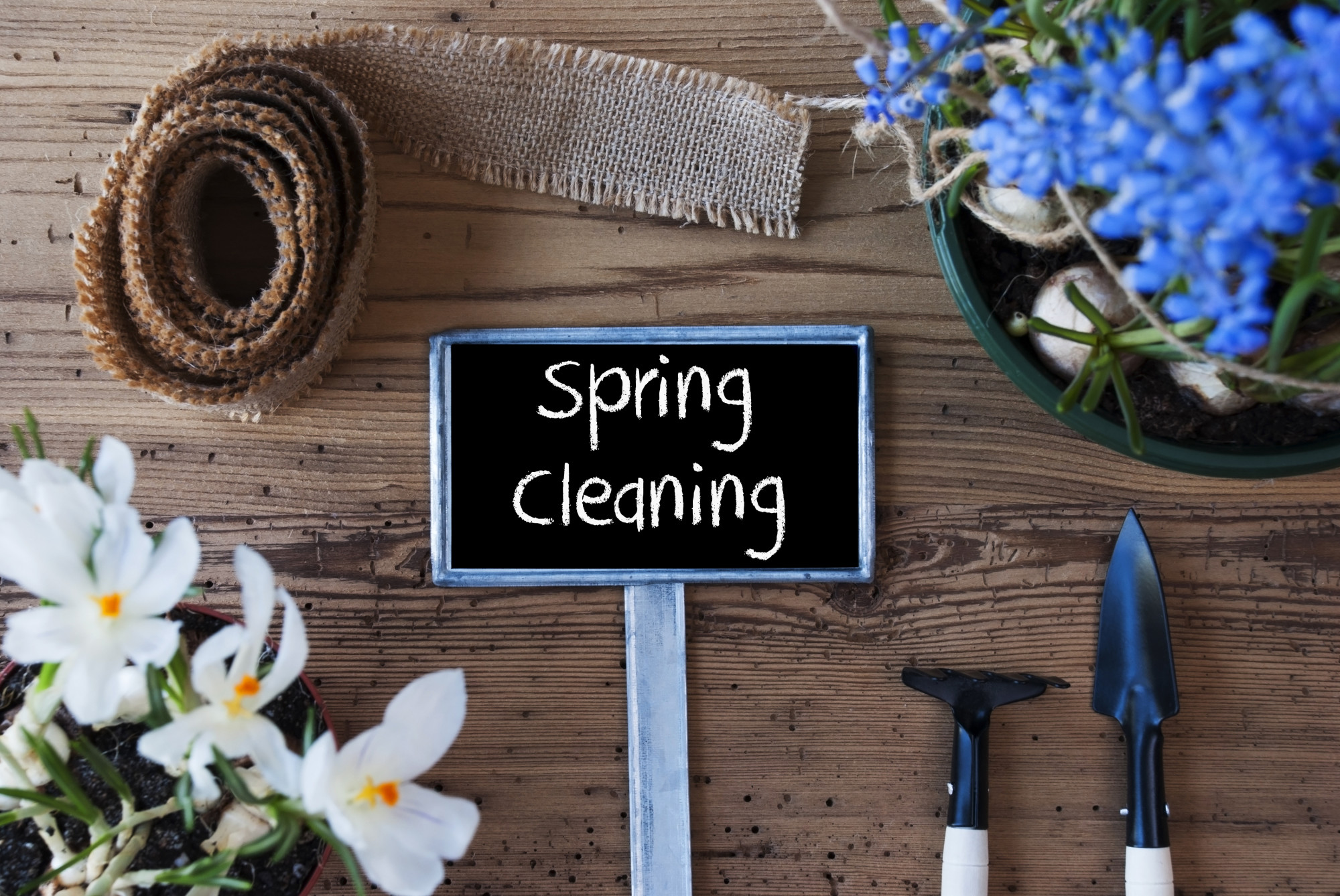 spring clean-up